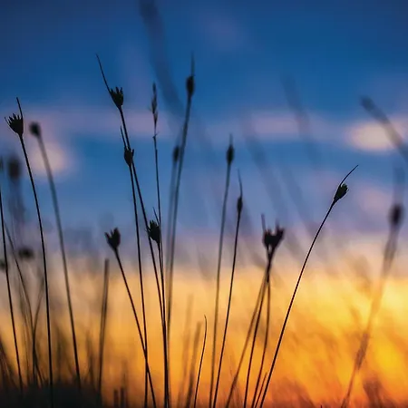 5 Bedroom Beautiful In *