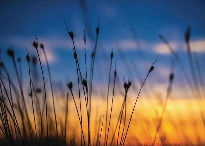 5 Bedroom Beautiful In *